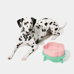 GoPet USA Qhalitech Comedero de Ceramica Pink Rose Vetreska