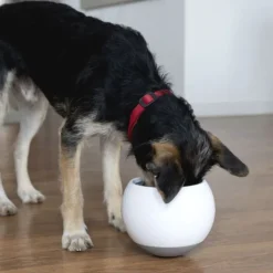 Qhalitech Comedero Para Perros y Gatos Ansiosos Gris