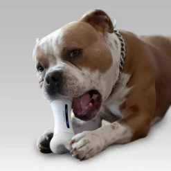 Qhalitech Hueso Automático e Interactivo para Perros Wicked Cheerble