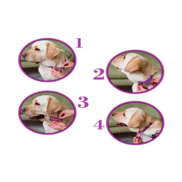 GoPet USA Que Patas Collar Calmante para Gato