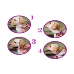 GoPet USA Que Patas Collar Calmante para Perro