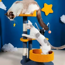 QUÉ PATAS PET SHOP Que Patas Gimnasio 3 Estaciones