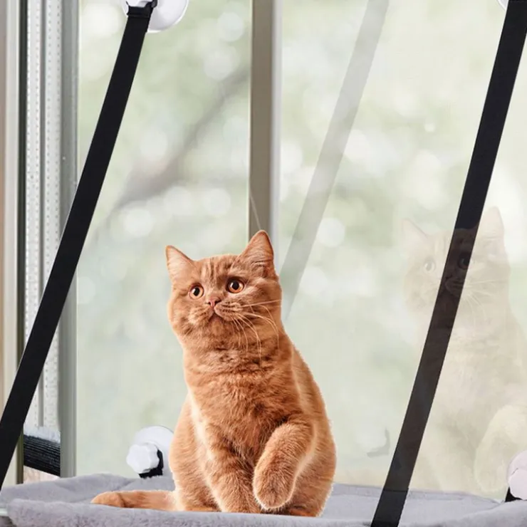 QUÉ PATAS PET SHOP Que Patas Hamaca Doble Para Gatos