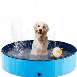 QUÉ PATAS PET SHOP Que Patas Piscina para Mascotas