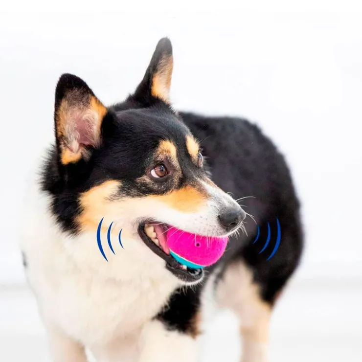 QUÉ PATAS PET SHOP Que Patas Set de Pelotas de Tenis para Mascotas