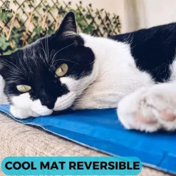 Real Pet Cool Mat Manta Refrescante para Mascotas