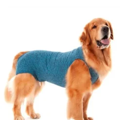 Real Pet Faja Post Operatoria Para Perros Hembra