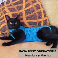 Real Pet Faja Post Operatoria Para Gatos