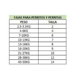 Real Pet Faja Post Operatoria Para Perros Hembra