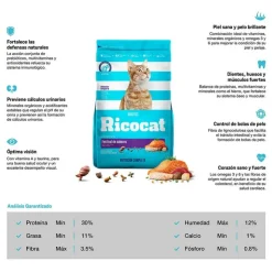 Ricocat Adulto Festival de Sabores 15 Kg