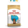 Royal Canin BHN Dachshund Puppy 1.5 Kg - Cachorro Teckel/Salchicha