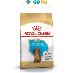 Royal Canin BHN Dachshund Puppy 1.5 Kg - Cachorro Teckel/Salchicha