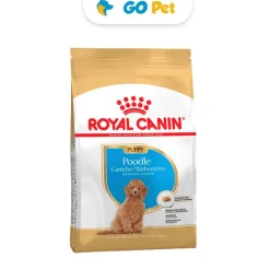 Royal Canin BHN Poodle Puppy - Cachorro Poodle 3 Kg