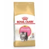 Royal Canin FBN Persian Kitten - Gatitos Persas 4 Kg