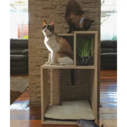 The Cat Design Box #2 Rascador de Madera Premium Gatos Beige