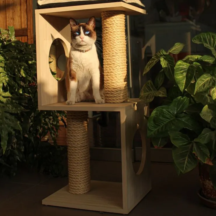 GoPet USA The Cat Design Box #1 Rascador de Madera Premium Gatos Beige